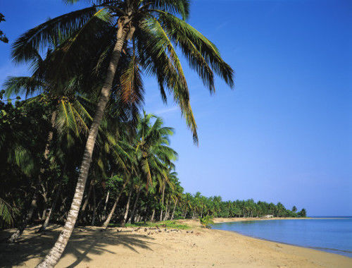 Bed & Breakfast Hostel Punta Cana *
